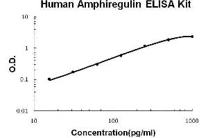 Human Amphiregulin(AR) PicoKine ELISA Kit standard curve