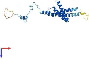 TIMM22 Protein (AA 1-194) (His tag)