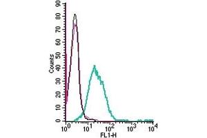 Cell surface detection of Neogenin by direct flow cytometry in live intact human Jurkat T-cell leukemia cells: + Rabbit IgG isotype control-FITC.