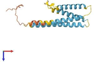 CMTM7 Protein (AA 1-167) (His tag)