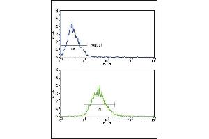 LDLR Antibody (Center) (ABIN652907 and ABIN2842585) FC analysis of MCF-7 cells (bottom histogram) compared to a negative control cell (top histogram). (LDLR Antikörper  (AA 391-419))