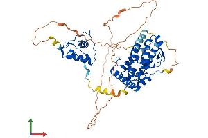 AlphaFold protein structure predicition of Human Recombinant RXRG Protein, UniprotID P48443