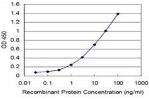 Detection limit for recombinant GST tagged PCNA is approximately 0. (PCNA Antikörper  (AA 78-177))