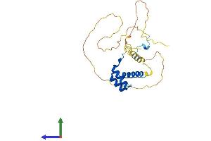 Protein Structure (PS) image for Homeobox B8 (HOXB8) (AA 1-243) protein (His tag) (ABIN7548416)