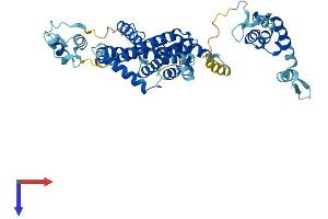 SF3A3 Protein (AA 1-501) (His tag)