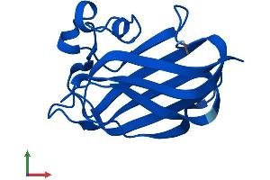 Protein Structure (PS) image for Nuclear Receptor 2C2-Associated Protein (NR2C2AP) (AA 1-139) protein (His tag) (ABIN7549803)