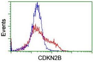 Image no. 4 for anti-Cyclin-Dependent Kinase Inhibitor 2B (p15, Inhibits CDK4) (CDKN2B) antibody (ABIN1497444) (CDKN2B Antikörper)