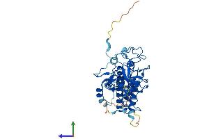 Protein Structure (PS) image for Suppressor of Variegation 3-9 Homolog 2 (Drosophila) (SUV39H2) (AA 1-410) protein (His tag) (ABIN7555673)