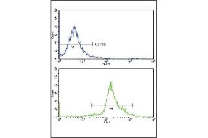 Flow cytometric analysis of widr cells using IA Antibody (N-term)(bottom histogram) compared to a negative control cell (top histogram)FITC-conjugated goat-anti-rabbit secondary antibodies were used for the analysis. (PPIA Antikörper  (N-Term))