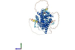 Protein Structure (PS) image for Lamin B Receptor (LBR) (AA 1-626) protein (His tag) (ABIN7557157)