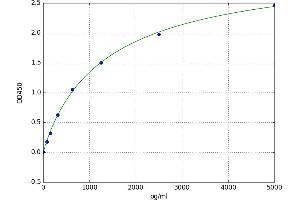 A typical standard curve (LAMa4 ELISA Kit)