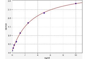 Transferrin Receptor 2 (TFR2) ELISA Kit