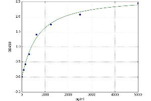 Peptidylprolyl Cis/trans Isomerase, NIMA-Interacting 1 (PIN1) ELISA Kit