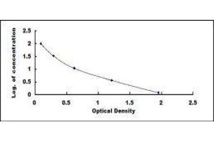 ELISA image for IgG ELISA Kit (ABIN431333)