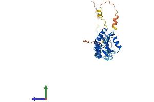 AlphaFold protein structure predicition of Mouse Recombinant Tnfaip1 Protein, UniprotID O70479