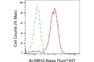 Flow cytometric analysis of ALKBH2 expression in HepG2 cells using ALKBH2 antibody (ABIN7797580), 1:2,000). (Rekombinanter ALKBH2 Antikörper)