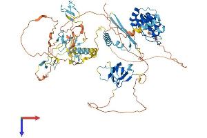 AlphaFold protein structure predicition of Mouse Recombinant Dzank1 Protein, UniprotID Q8C008