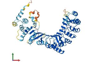 AlphaFold protein structure predicition of Human Recombinant PRAMEF20 Protein, UniprotID Q5VT98