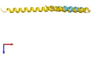 AlphaFold protein structure predicition of Human Recombinant FAM25C Protein, UniprotID B3EWG5
