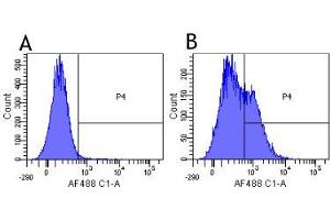 Flow-cytometry using the anti-CD25 (IL2R) research biosimilar antibody Daclizumab   Human lymphocytes were stained with an isotype control (panel A) or the rabbit-chimeric version of Daclizumab (panel B) at a concentration of 1 µg/ml for 30 mins at RT. (Rekombinanter IL2RA (Daclizumab Biosimilar) Antikörper)