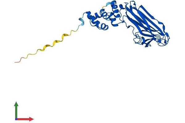 FBXO27 Protein (AA 1-280) (His tag)