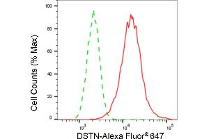 Flow cytometric analysis of DSTN expression in H9c2 cells using DSTN antibody (ABIN7798322), 1:2,000).