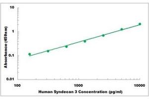 SDC3 ELISA Kit