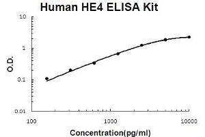Human HE4 PicoKine ELISA Kit standard curve