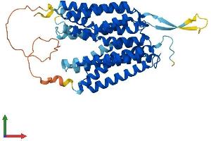 Protein Structure (PS) image for G Protein-Coupled Receptor 172A (GPR172A) (AA 1-450) protein (His tag) (ABIN7561121)