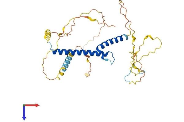 PTF1A Protein (AA 1-324) (His tag)