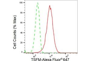 Flow cytometric analysis of TSFM expression in HeLa cells using TSFM antibody (ABIN7800656), 1:2,000). (Rekombinanter TSFM Antikörper)