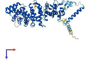 RIC8A Protein (AA 1-531) (His tag)