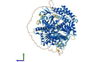 Protein Structure (PS) image for Interferon Induced with Helicase C Domain 1 (IFIH1) (AA 1-1025) protein (His tag) (ABIN7554140)