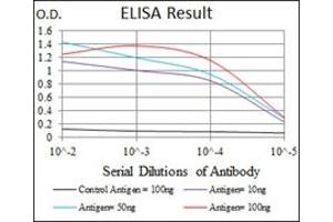 ELISA image for anti-Integrin beta 1 (ITGB1) antibody (ABIN1106232) (ITGB1 Antikörper)
