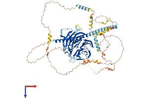 Striatin Protein (STRN) (AA 1-780) (His tag)