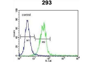 Flow Cytometry (FACS) image for anti-C-Type Lectin Domain Family 11, Member A (CLEC11A) (AA 152-181), (Middle Region) antibody (ABIN954685)