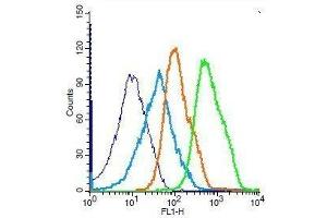 Flow Cytometry (FACS) image for anti-Mitogen-Activated Protein Kinase 8 (MAPK8) (pThr183), (pTyr185) antibody (ABIN732368)