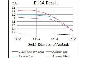 Black line: Control Antigen (100 ng), Purple line: Antigen(10 ng), Blue line: Antigen (50 ng), Red line: Antigen (100 ng), (RPA1 Antikörper)