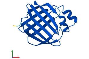 AlphaFold protein structure predicition of Mouse Recombinant Rbp7 Protein, UniprotID Q9EPC5