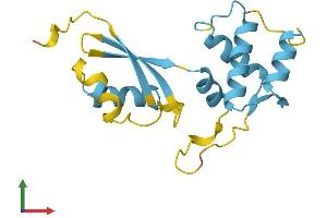 Protein Structure (PS) image for Ribosomal Protein L12 (RPL12) (AA 1-165) protein (His tag) (ABIN7551402)