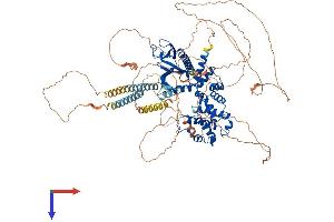 IQSEC1 Protein (AA 1-963) (His tag)