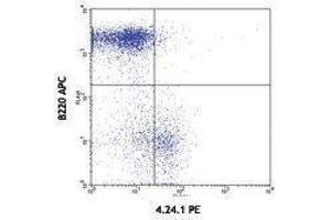 Flow Cytometry (FACS) image for anti-Poliovirus Receptor (PVR) antibody (PE) (ABIN2663059) (Poliovirus Receptor Antikörper  (PE))