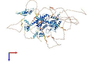 AlphaFold protein structure predicition of Human Recombinant ZFR2 Protein, UniprotID Q9UPR6
