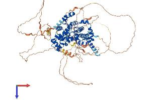 USP6NL Protein (AA 1-828) (His tag)