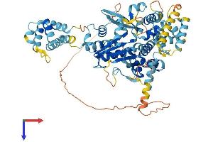 NLRP10 Protein (AA 1-655) (His tag)