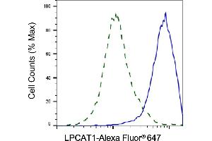 Validation of LPCAT1 knockdown using flow cytometry. (Rekombinanter LPCAT1 Antikörper)