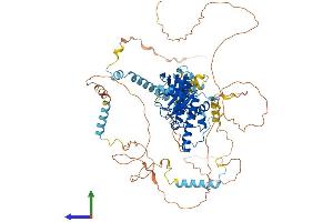 Protein Structure (PS) image for Adducin 1 (Alpha) (ADD1) (AA 1-737) protein (His tag) (ABIN7552029)