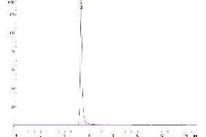 Claudin 6 Protein-VLP (CLDN6) (AA 1-220)