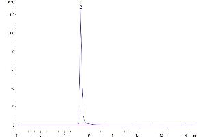 Size-exclusion chromatography-High Pressure Liquid Chromatography (SEC-HPLC) image for Claudin 6 (CLDN6) (AA 1-220) (Active) protein-VLP (ABIN7448162)