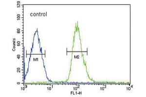 Flow Cytometry (FACS) image for anti-Dual Specificity Phosphatase 2 (DUSP2) antibody (ABIN3004027)
